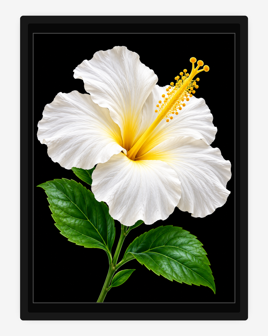 White hibiscus HueForge light-up artwork in a black frame